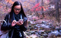 7723韩国高清完整版在线观看